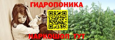 спайс Владимир
