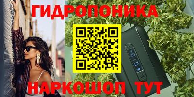 мдпв Владивосток