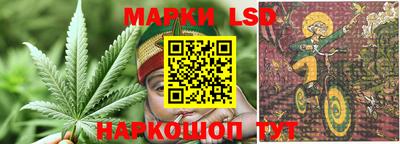 мдпв Владивосток